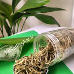چای سفید سوزن نقره ای