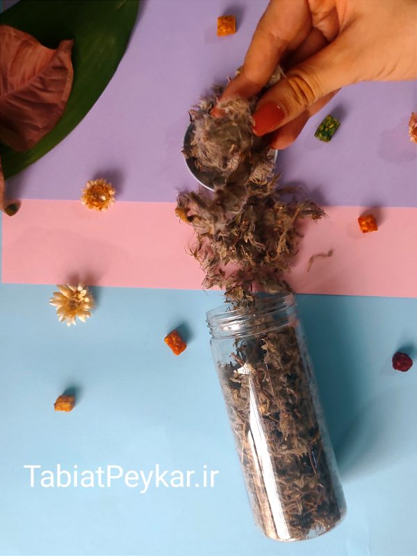 چای کوهی