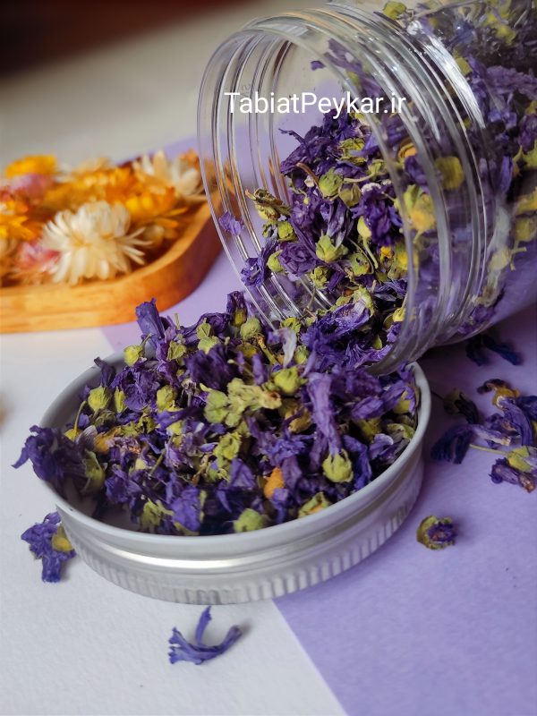 گل بنفشه