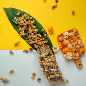گل ختمی