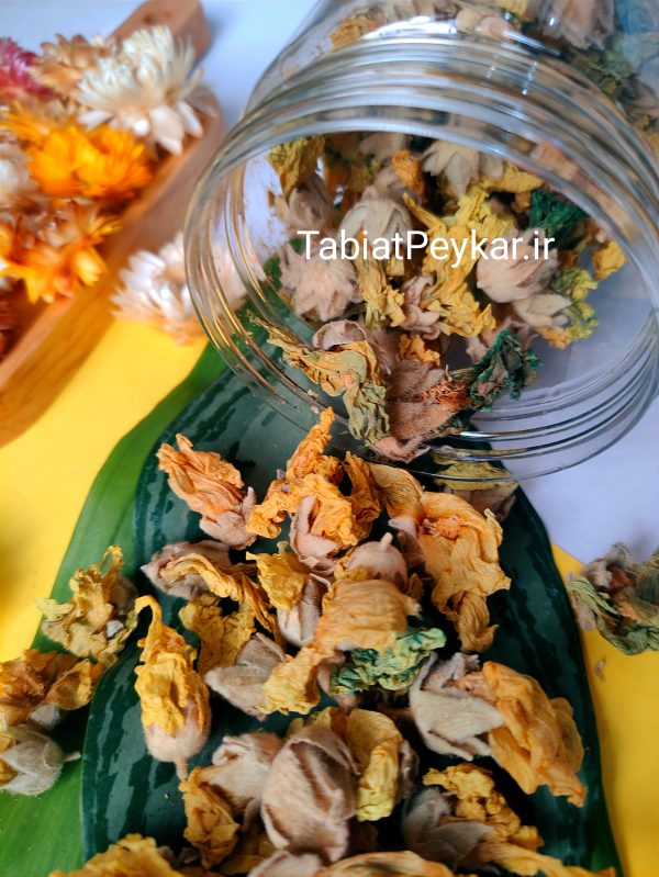 گل ختمی