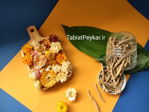 آشواگاندا