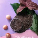دانه چیا