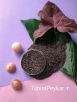 دانه چیا