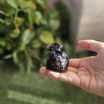 شکلات خارجی بارمبو تلخ پذیرایی وارداتی