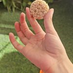 شکلات کوبار وارداتی رژیمی گردو