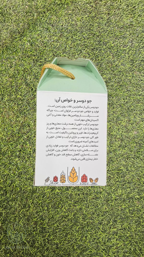 کلوچه سالم و رژیمی وگان ویگر هفت غله