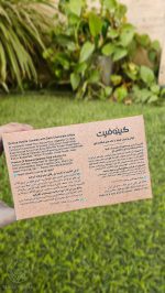 کوکی رژیمی وانیلی شکلات تلخ کینوفیت (1)